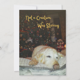 眠い犬は生き物ではなくクリスマスを揺らしていた シーズンカード