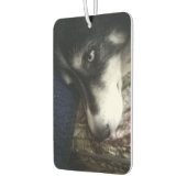 眠い犬 カーエアーフレッシュナー (左)