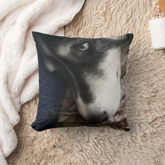 眠い犬 クッション (ブランケット)