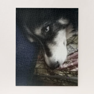 眠い犬 ジグソーパズル