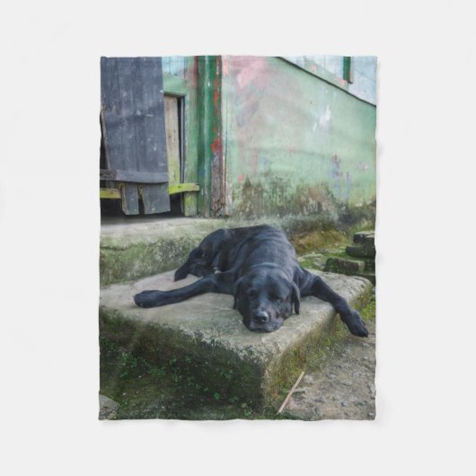 眠い犬 フリースブランケット (正面)