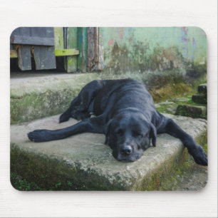 眠い犬 マウスパッド