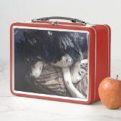 眠い犬 メタルランチボックス (インサイチュ)