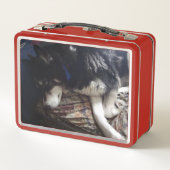 眠い犬 メタルランチボックス (裏面)