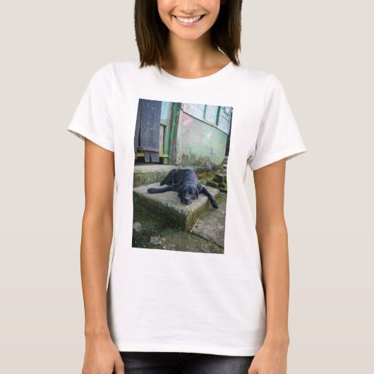 眠い犬 Tシャツ (正面)