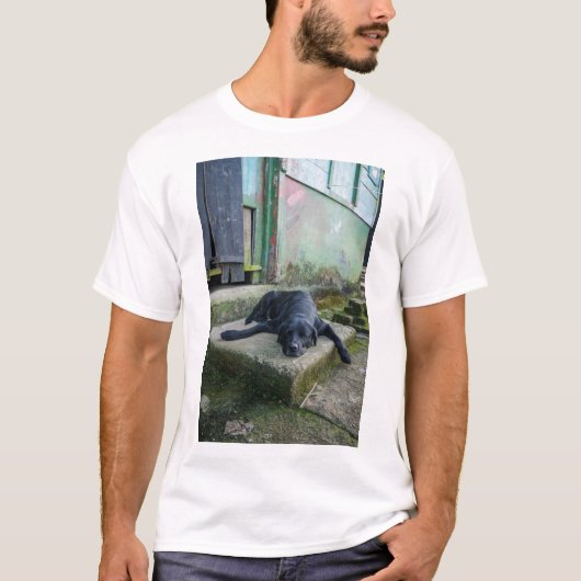 眠い犬 Tシャツ (正面)