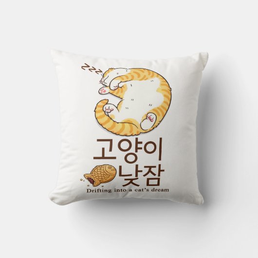 眠い猫とぶんげっぽんの韓国デザイン クッション (正面)