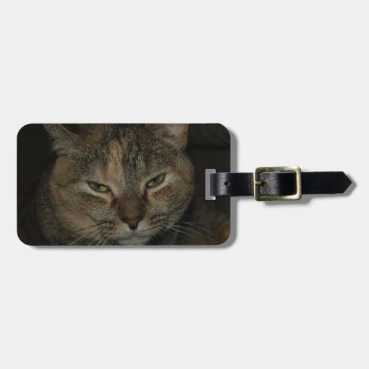 眠い猫の荷物のラベル ラゲッジタグ (正面横)