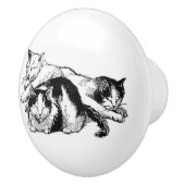 眠い猫|の白黒猫ちゃん セラミックノブ (右)