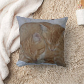 眠い猫 クッション (ブランケット)