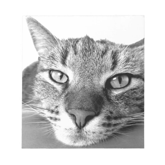 眠い猫 ノートパッド (正面)
