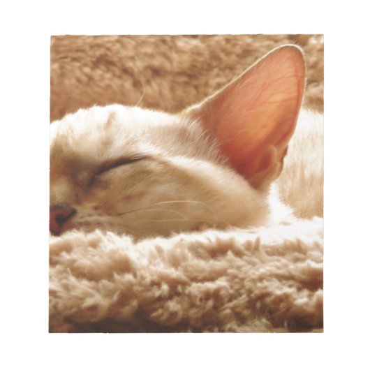眠い猫 ノートパッド (正面)