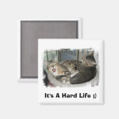 眠い猫 マグネット (正面/裏面)