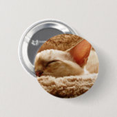 眠い猫 缶バッジ (正面&裏面)