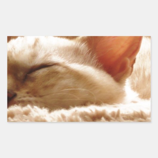 眠い猫 長方形シール (正面)