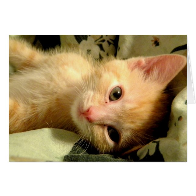 眠い男の子I (正面横)