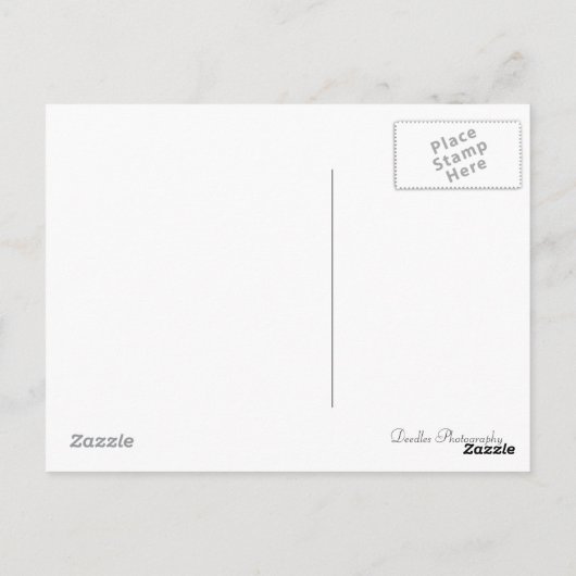 眠い羊 ポストカード (裏面)