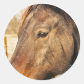 眠い荷車を引く馬のシール ラウンドシール (正面)