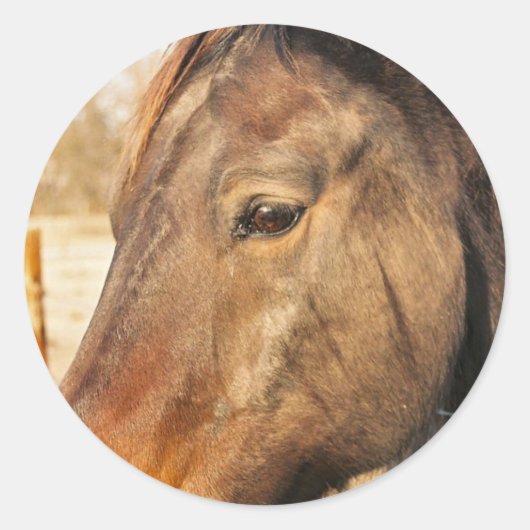 眠い荷車を引く馬のシール ラウンドシール (正面)
