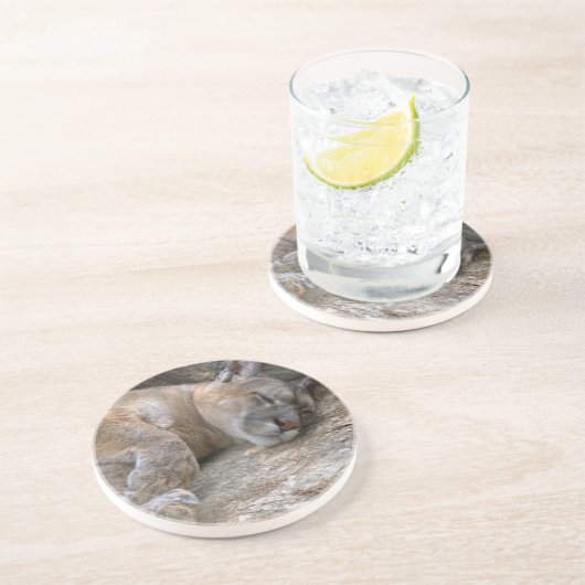 眠い頭部 コースター (側面)