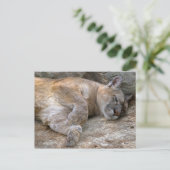 眠い頭部 ポストカード (スタンド正面)