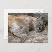 眠い頭部 ポストカード (正面/裏面)