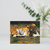 眠い ポストカード (スタンド正面)