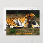 眠い ポストカード (正面/裏面)