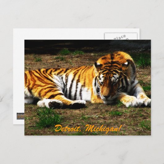 眠い ポストカード (正面/裏面)