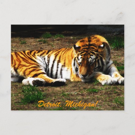 眠い ポストカード (正面)