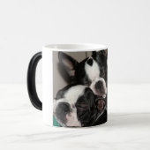 眠いBostons モーフィングマグカップ (正面左)