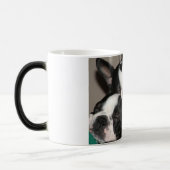 眠いBostons モーフィングマグカップ (左)