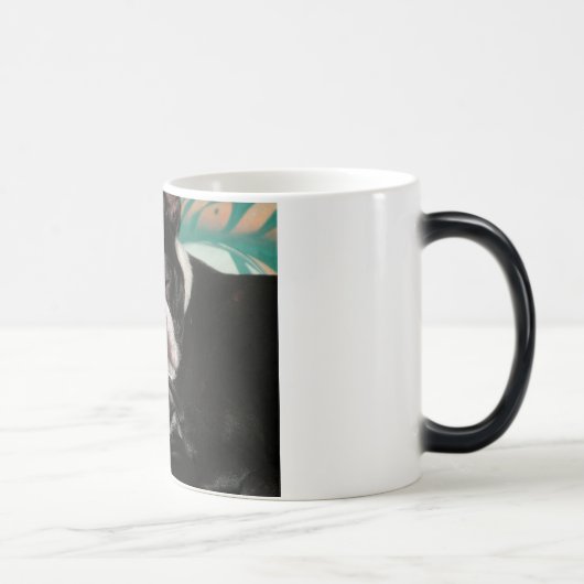 眠いBostons モーフィングマグカップ (右)