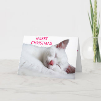 眠いsooooooooooooooo MERRYCHRISTMAS シーズンカード