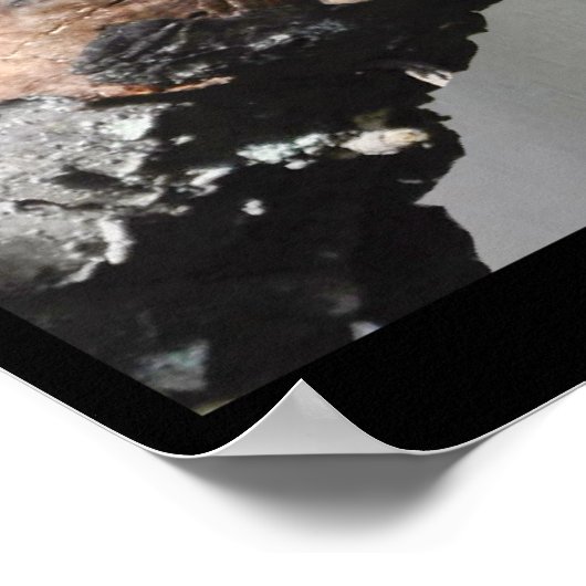 眠おもしろいいリス空白のカード ポスター (角)