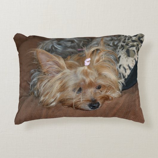 眠くて愛らしいヨークシャーテリアパピー アクセントクッション (正面)