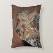 眠くて愛らしいヨークシャーテリアパピー アクセントクッション (正面(垂直))