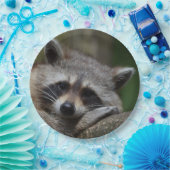 眠そうなかわいいアライグマ ペーパープレート (パーティー)