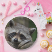 眠そうなかわいいアライグマ ペーパープレート (パーティー)