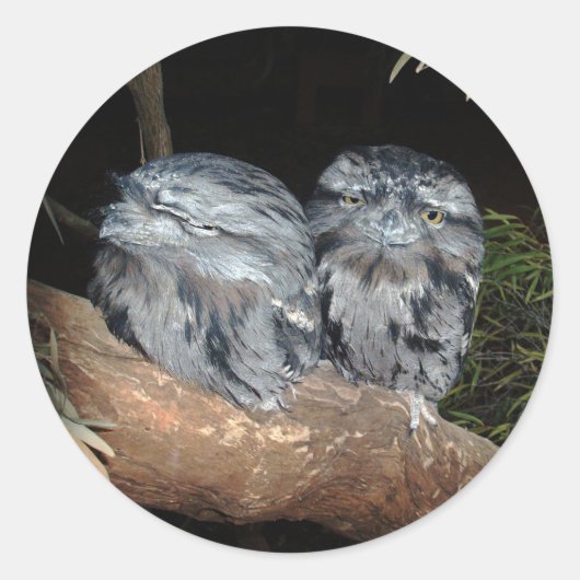 眠そうなカエルの鳴き声 ラウンドシール (正面)