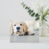 眠そうなゴールデンレトリバーの子犬 ポストカード (スタンド正面)