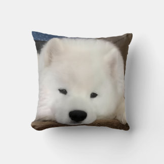 眠そうなサモエド 40.6 x 40.6cm クッションカバー クッション