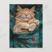 眠そうなジンジャー子猫 ポストカード (正面)