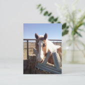 眠そうなペンキ ポストカード (スタンド正面)