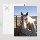 眠そうなペンキ ポストカード (正面/裏面)