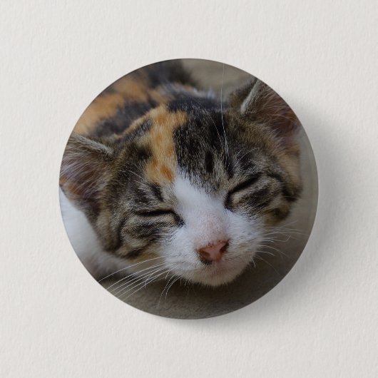 眠そうな三毛猫の子 缶バッジ (正面)