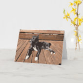 眠そうな子犬を甲板に寝そべらせる黒犬 カード (黄色い花)