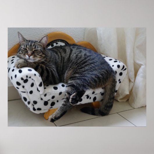 眠そうな猫 ポスター (正面)
