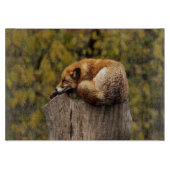 眠っているキツネの写真 カッティングボード (正面)