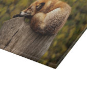 眠っているキツネの写真 カッティングボード (角)